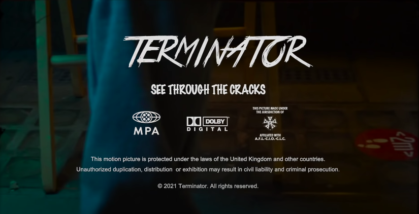 Terminator - See through the cracks